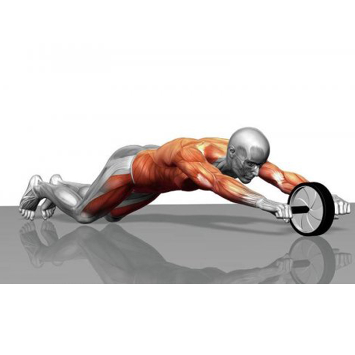 AbTrainer, posilovací kolečko s potaženými rukojeťmi - Image 9