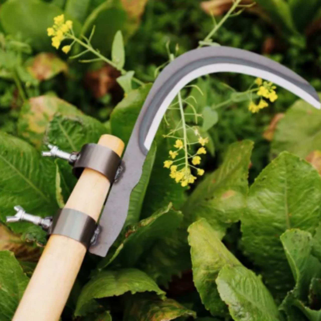 AgroTool, řezačka větví, plevele, trnů a vegetace - Image 4