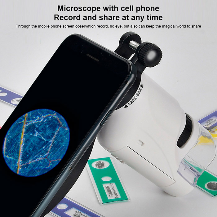 DiscoverBundle, přenosný dětský mikroskop + 12dílná sada pozorovacích destiček - Image 9