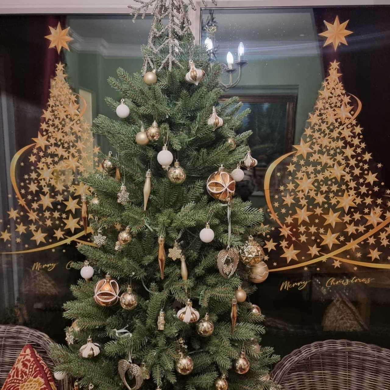 Perfektní pro každý prostor, od domova po salon