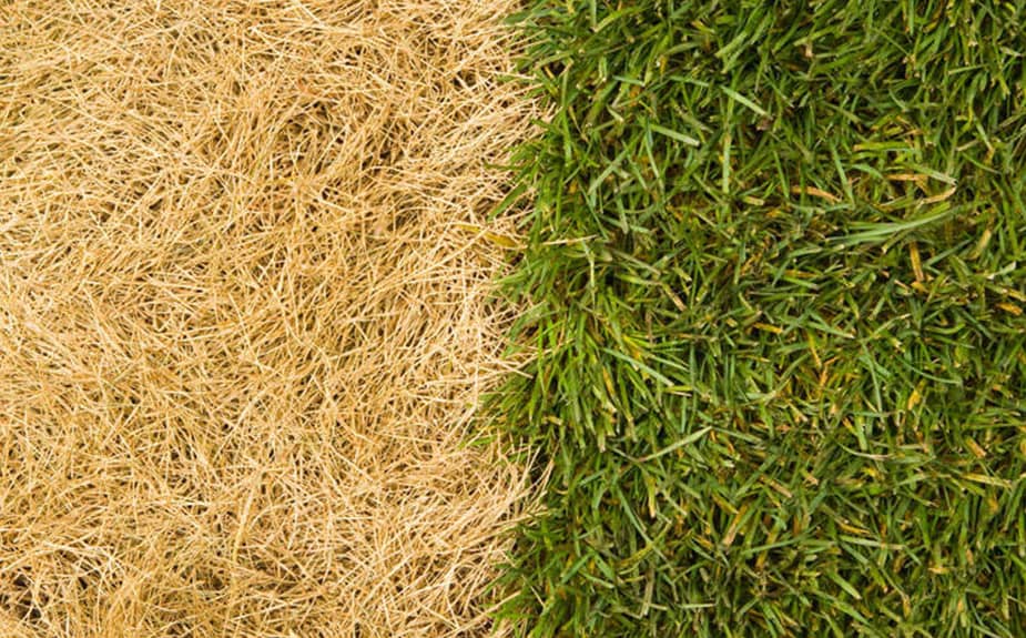 PlantPaper, inovativní 3 v 1 hnojivý papír - Image 9