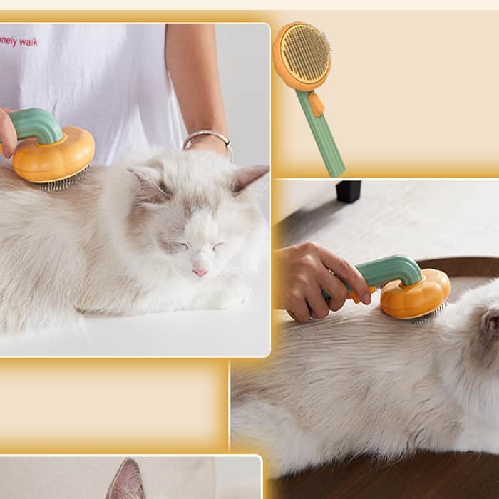 PumpkinComb, kartáč pro domácí zvířata s tlačítkem pro snadné očištění - Image 1