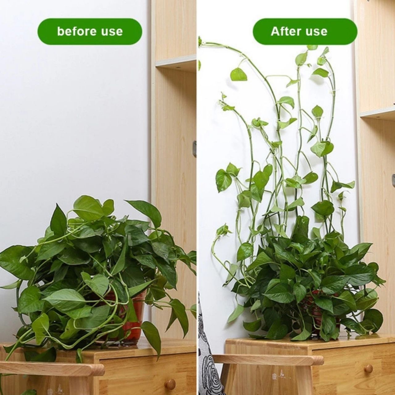 Vines, samolepicí držáky rostlin a popínavé rostliny (100 kusů) - Image 5