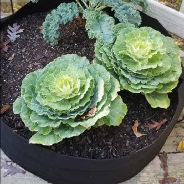 Garden GrowBag, záhon z textilu pro bujný růst všech druhů rostlin